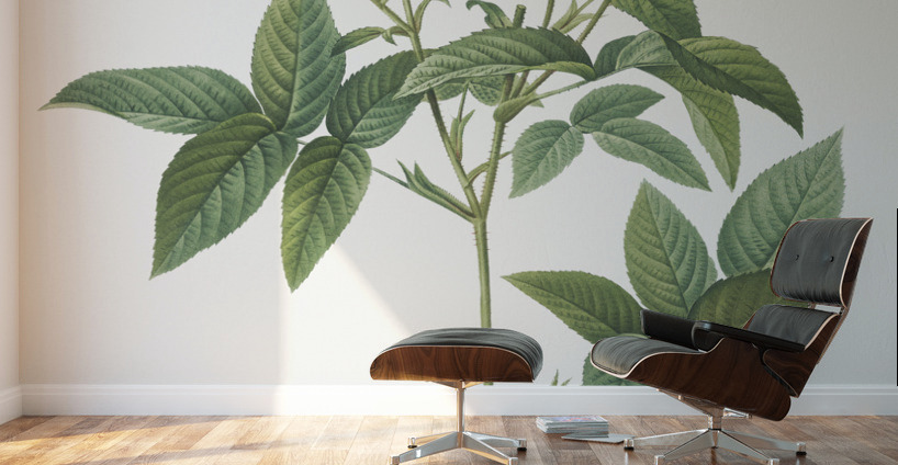 Van eeden rose Wall Murals