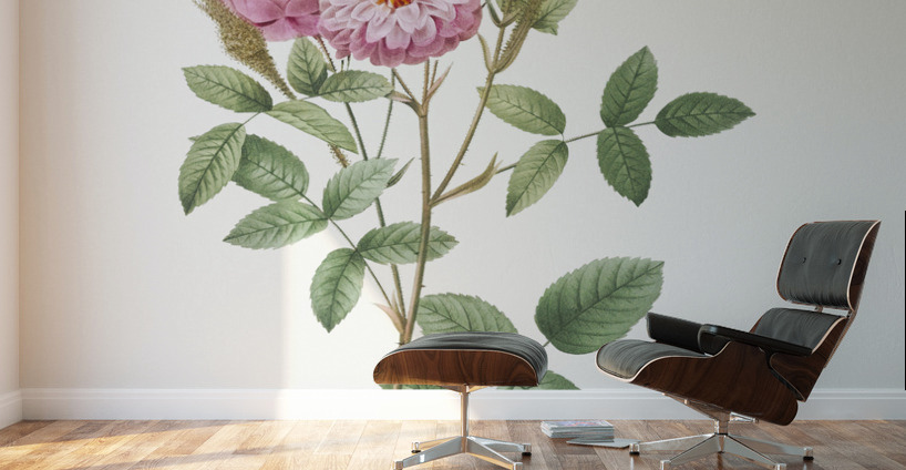 Mossy pompon rose Wall Murals