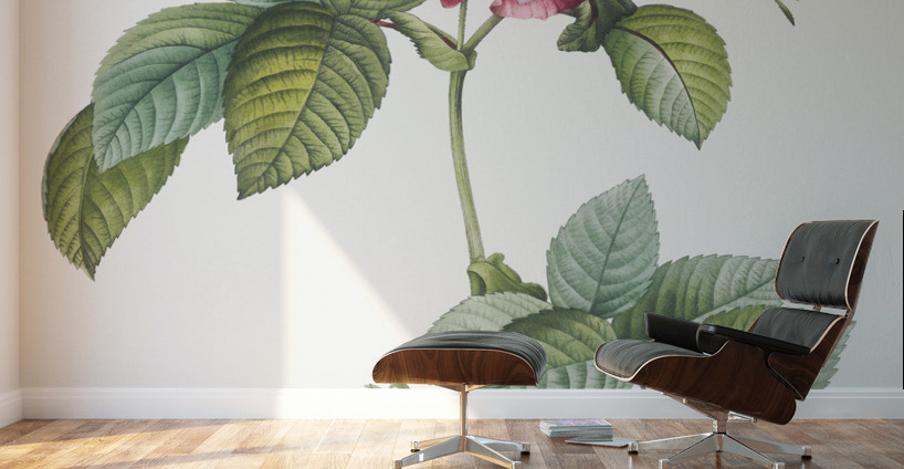 Pink french roses Wall Murals