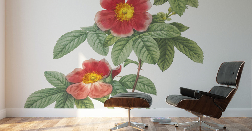 Blooming single may rose Wall Murals