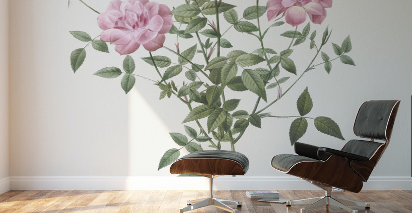 Vintage dwarf rosebush rose Wall Murals