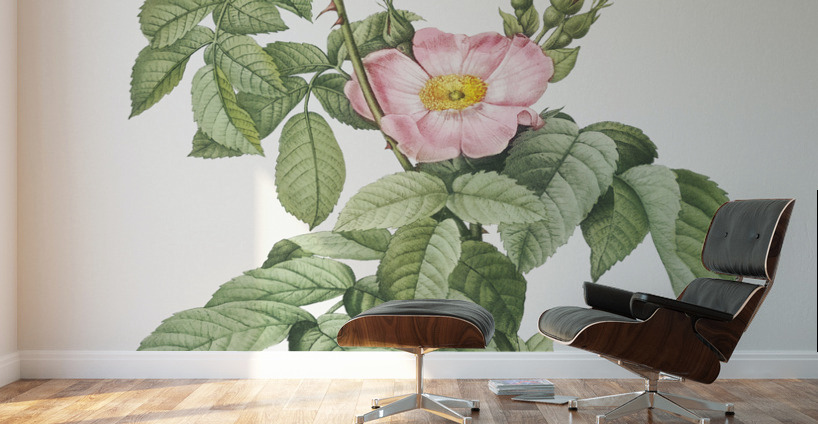 Pink apple rose in bloom Wall Murals