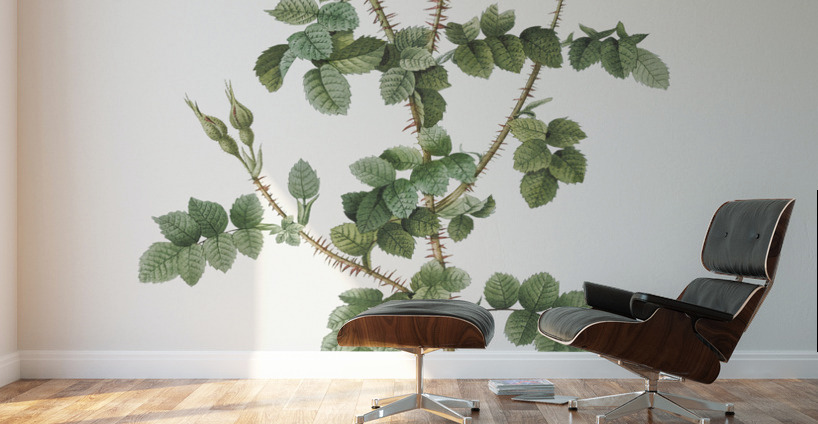 Prickly sweet briar roses Wall Murals