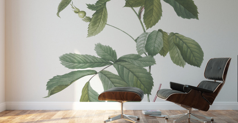 Pink alpine roses Wall Murals