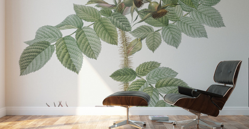 Anemone flowered rose Wall Murals