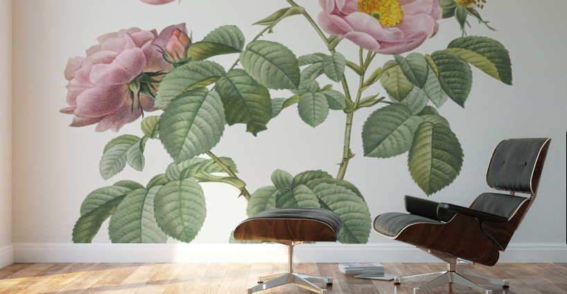 Pink roses in bloom Wall Murals