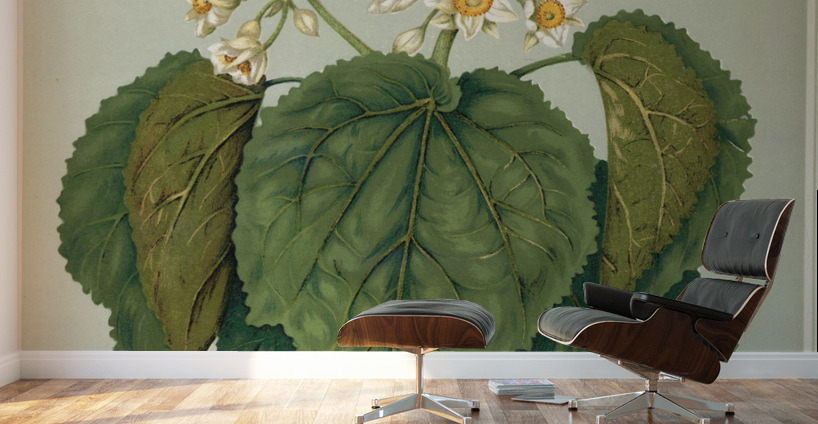 Sarah Featon 035 Wall Murals