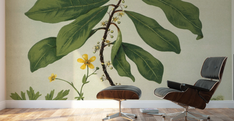 Sarah Featon 013 Wall Murals