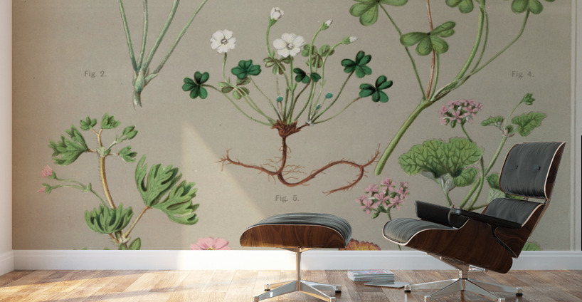 Sarah Featon 004 Wall Murals