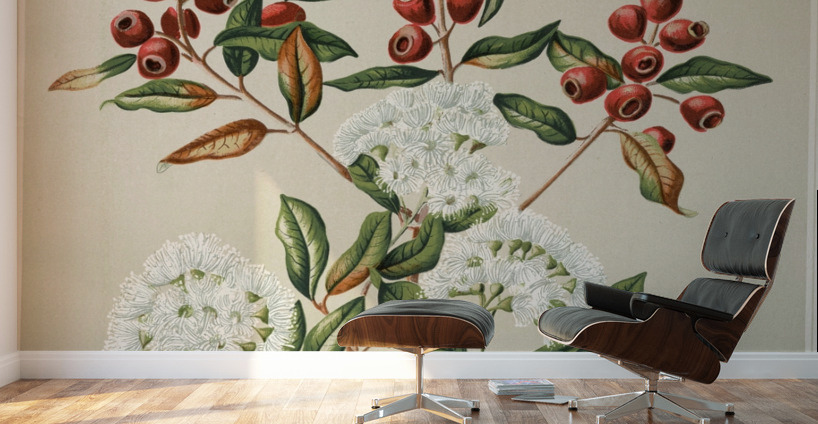 Sarah Featon 024 Wall Murals
