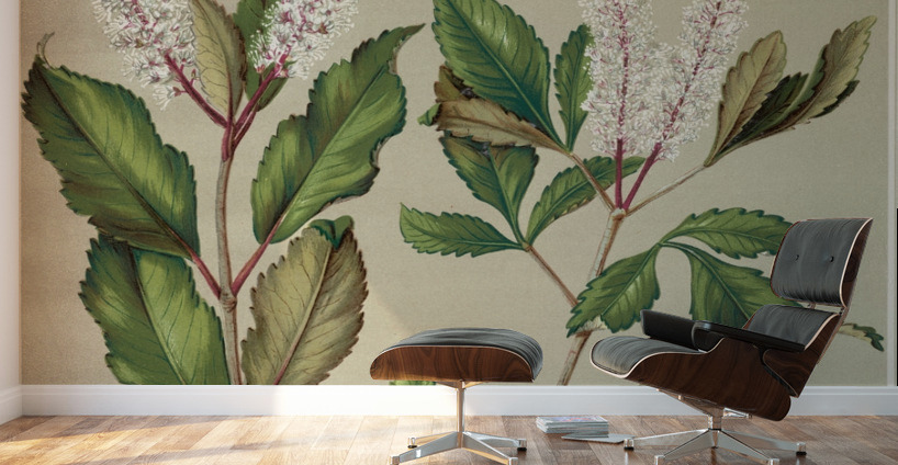 Sarah Featon 008 Wall Murals