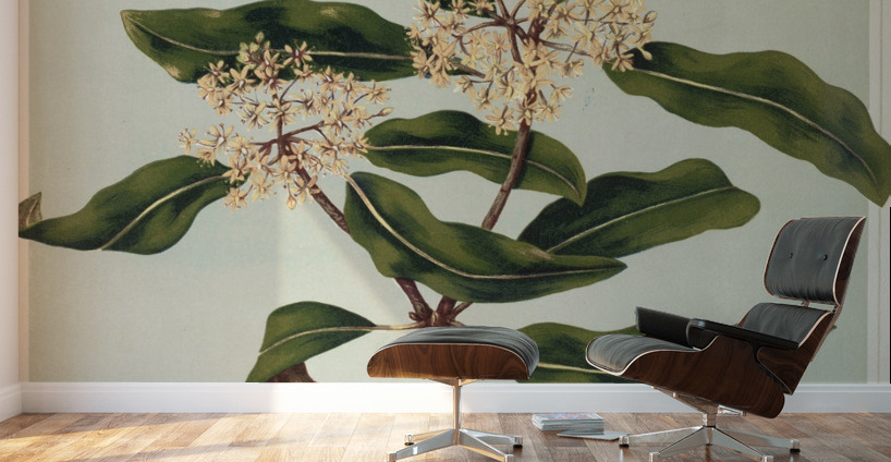 Sarah Featon 030 Wall Murals
