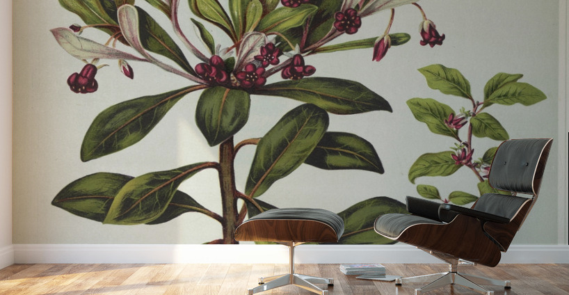 Sarah Featon 010 Wall Murals