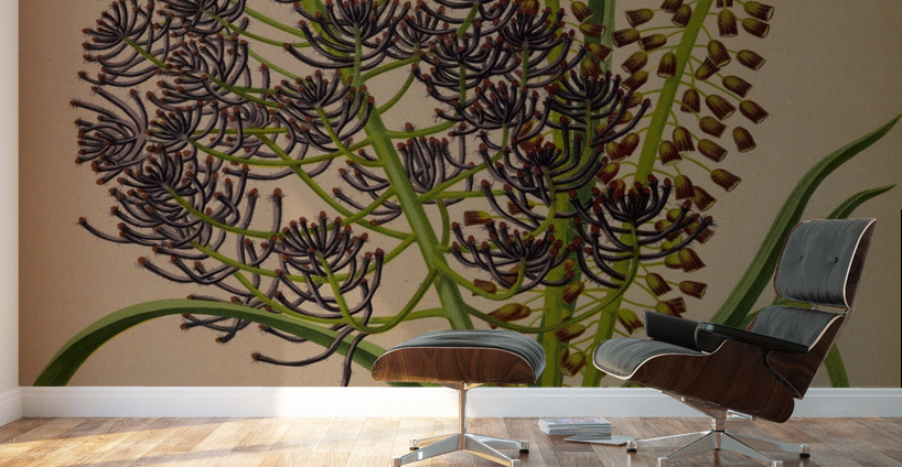 Album van Eeden : Haarlems flora : 1872-1881 Wall Murals