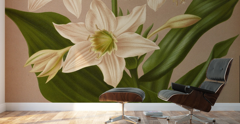 Album van Eeden : Haarlems flora : 1872-1881 Wall Murals