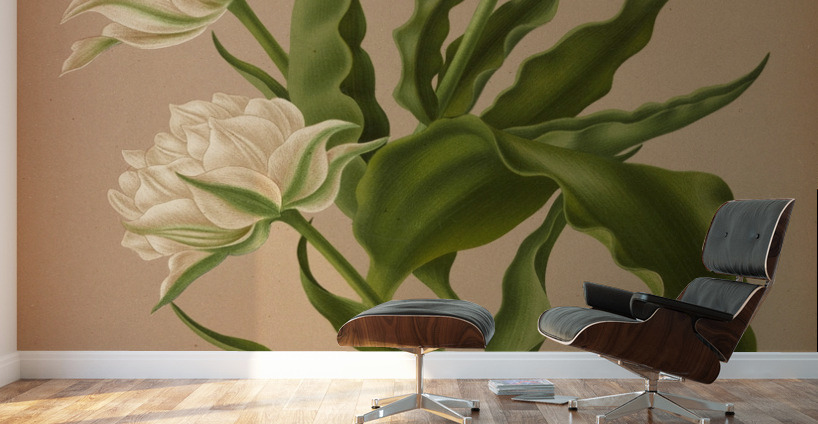 Album van Eeden : Haarlems flora : 1872-1881 Wall Murals