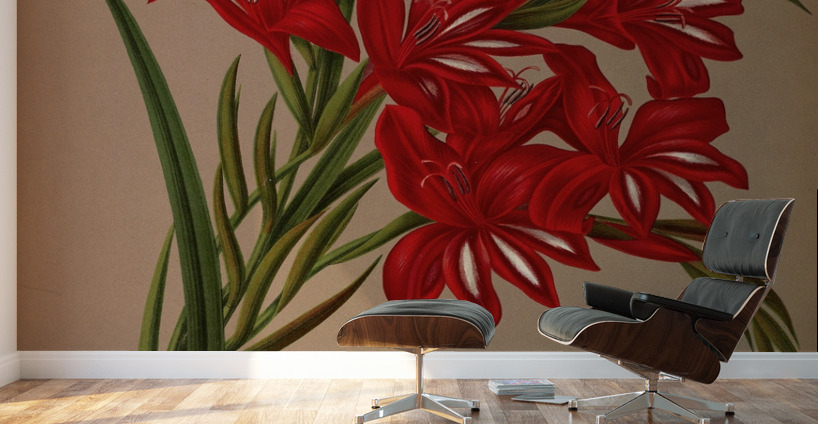 Album van Eeden : Haarlems flora : 1872-1881 Wall Murals