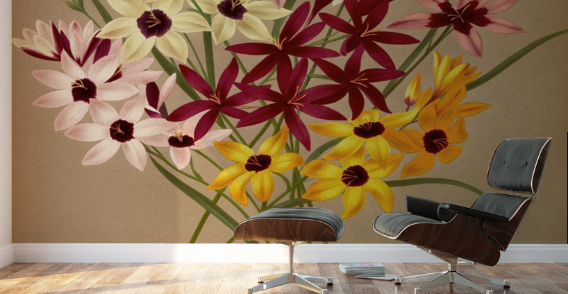 Album van Eeden : Haarlems flora : 1872-1881 Wall Murals