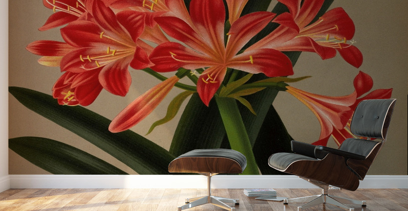 Album van Eeden : Haarlems flora : 1872-1881 Wall Murals