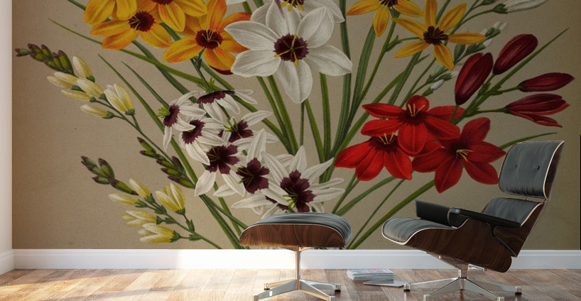 Album van Eeden : Haarlems flora : 1872-1881 Wall Murals