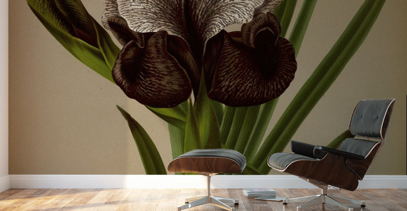 Album van Eeden : Haarlems flora : 1872-1881 Wall Murals