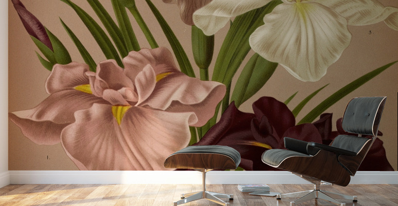 Album van Eeden : Haarlems flora : 1872-1881 Wall Murals