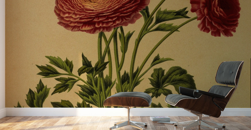 Album van Eeden : Haarlems flora : 1872-1881 Wall Murals