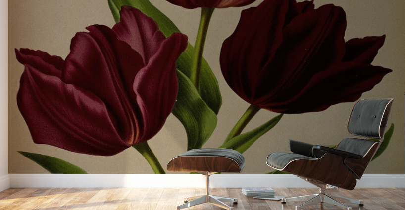 Album van Eeden : Haarlems flora : 1872-1881 Wall Murals