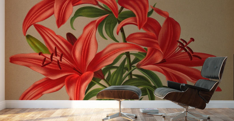 Album van Eeden : Haarlems flora : 1872-1881 Wall Murals