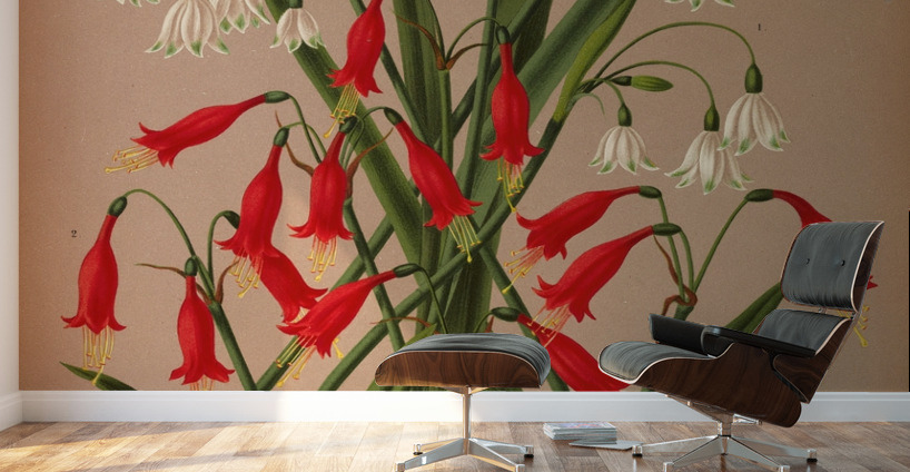 Album van Eeden : Haarlems flora : 1872-1881 Wall Murals