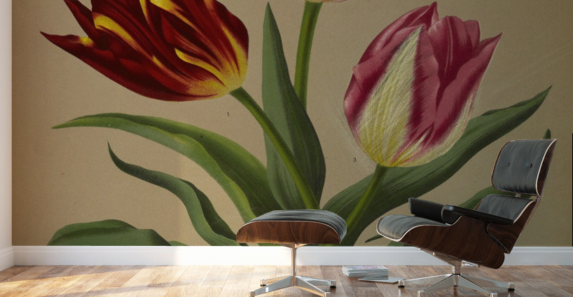 Album van Eeden : Haarlems flora : 1872-1881 Wall Murals