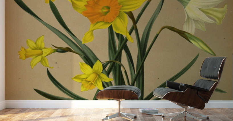 Album van Eeden : Haarlems flora : 1872-1881 Wall Murals