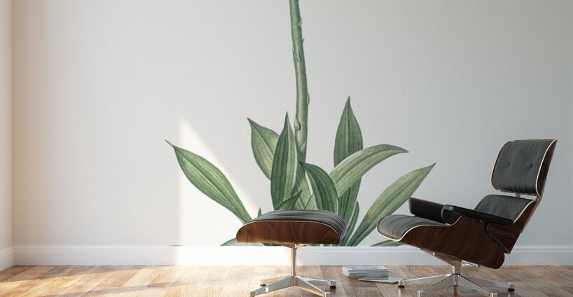 Swamp pink  illustration  Wall Murals