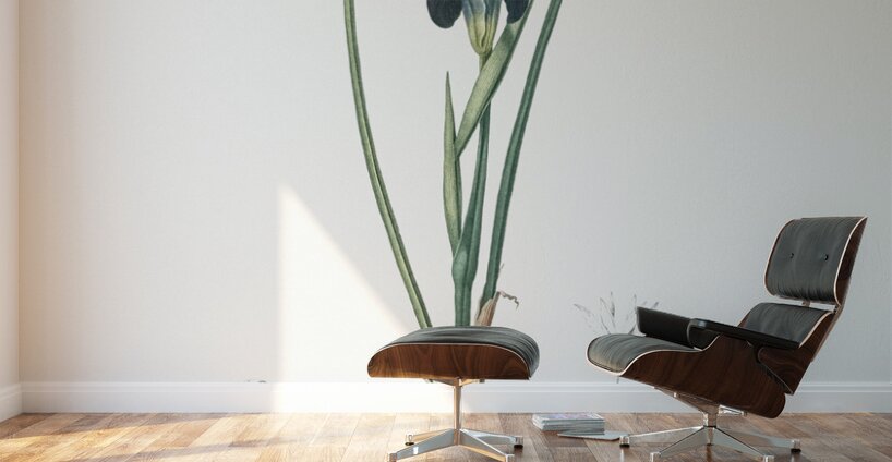 Snake head illustration  Wall Murals