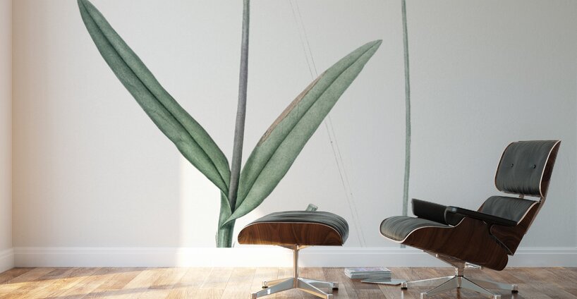 Epidendrum bifidum illustration  Wall Murals