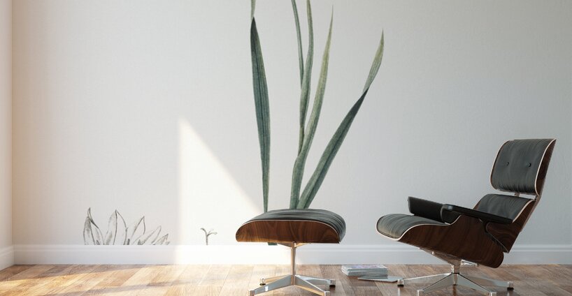 Painted lady illustration  Wall Murals