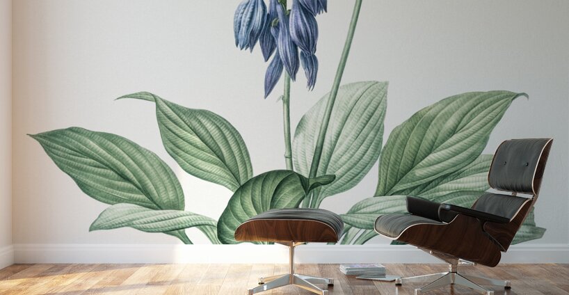 Daylily illustration  Wall Murals