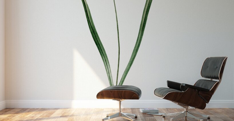 Small yellow onion illustration  Wall Murals