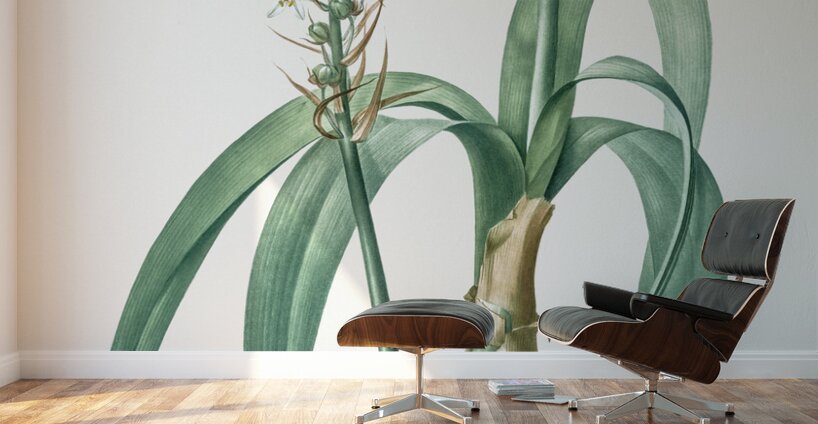 Pregnant onion illustration  Wall Murals