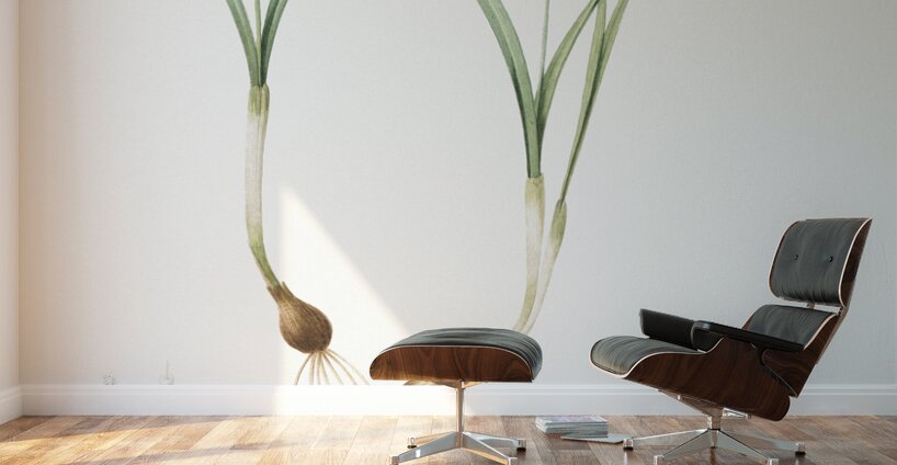 Snowdrop illustration  Wall Murals