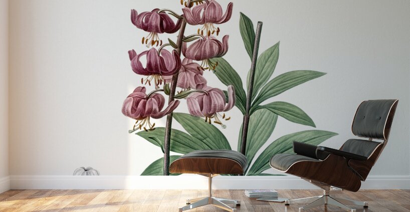 Lilium martagon illustration  Wall Murals