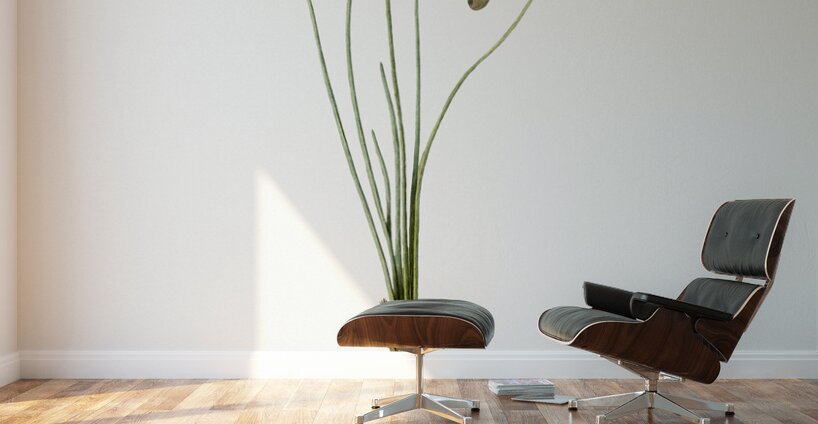 Autumn onion illustration  Wall Murals