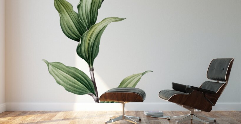 Treacleberry illustration  Wall Murals