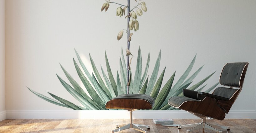 Adam needle illustration  Wall Murals