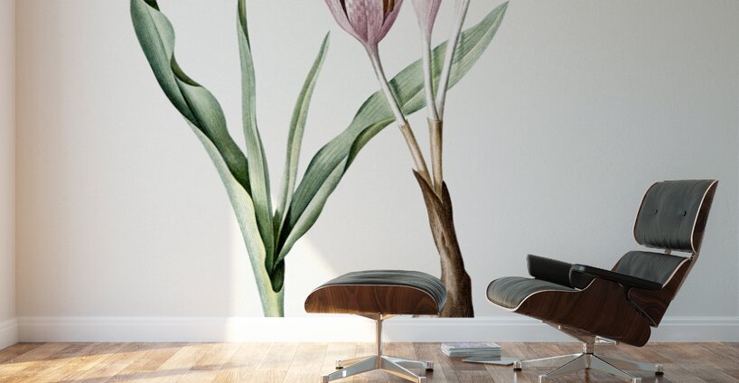 Autumn crocus illustration  Wall Murals