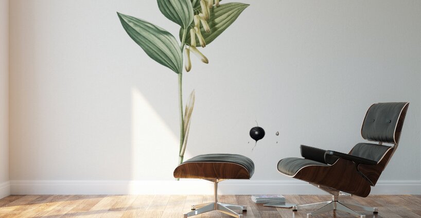 Angular solomon seal illustration  Wall Murals