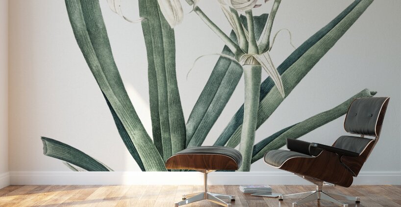 Florida swamp-lily illustration  Wall Murals