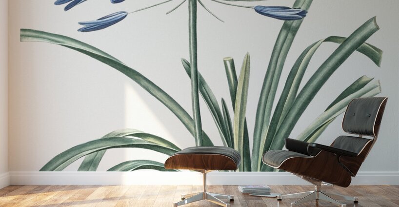 African lily illustration  Wall Murals