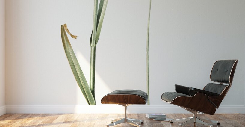 Sand leek illustration  Wall Murals