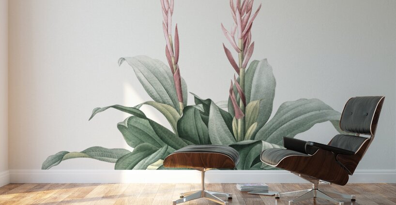 Latin American lady orchid illustration  Wall Murals